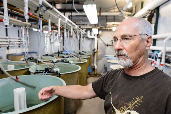 Terence Barry showing fish tanks