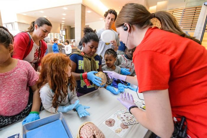 Young participants hold a preserved human brain
