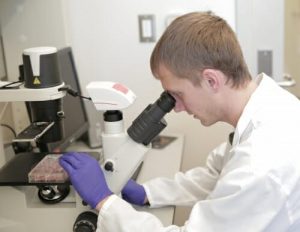 Graduate student using a microscope