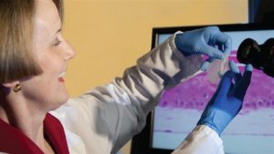 B. Lynn Allen-Hoffmann researching