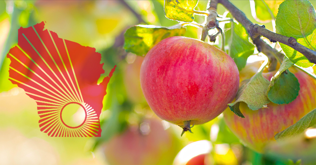 WARF logo over photo of apples hanging on a tree on a sunny day