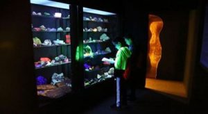 Two children examine fluorescent rocks and minerals in a case