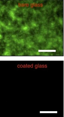 two magnified images comparing bare glass and coated glass