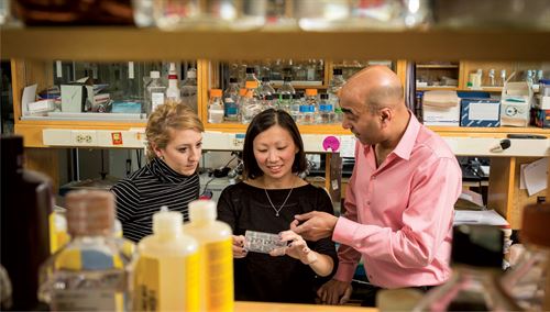 Three researchers standing around holding object of study