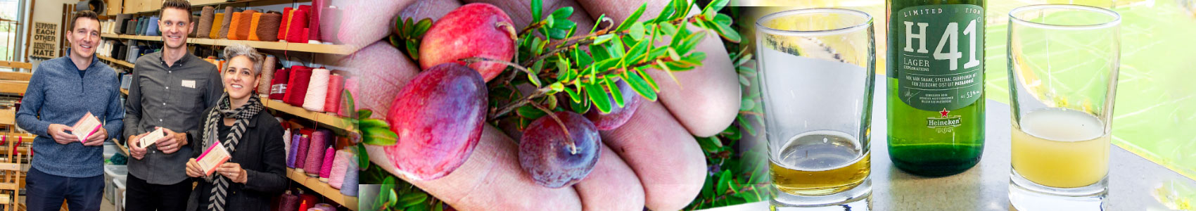 Commercialize | Wisconsin Alumni Research Foundation
