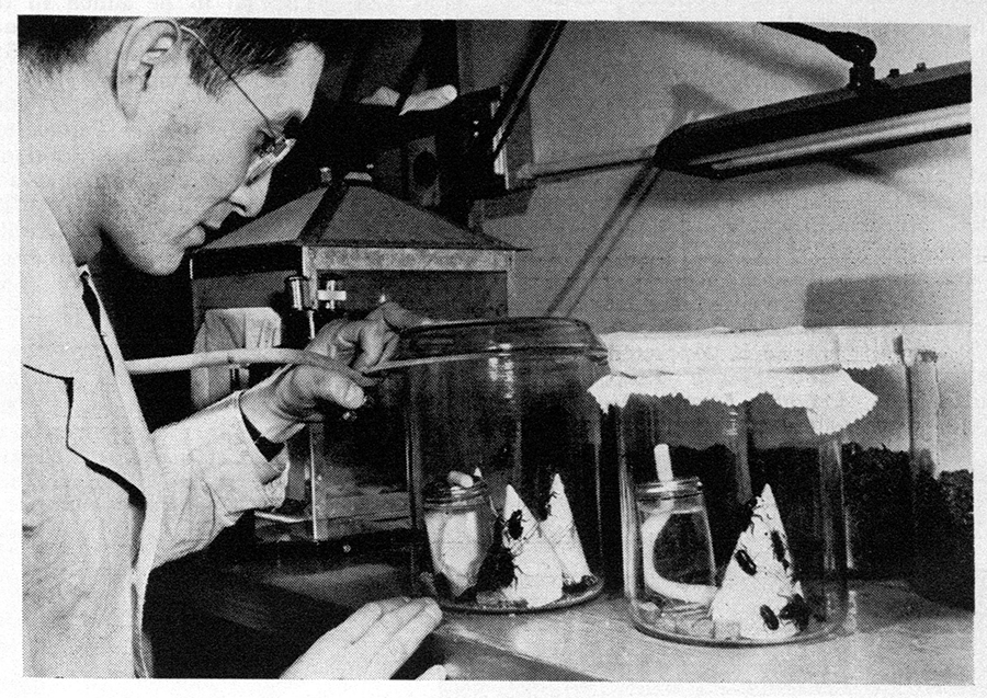 George Kido working in lab