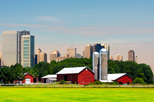 Farm and pasture with cityscape skyline in background