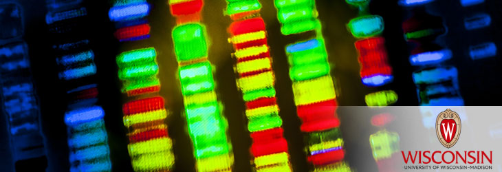Diagnostic Assays