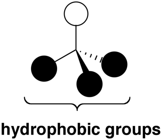 General tripod amphiphile design.