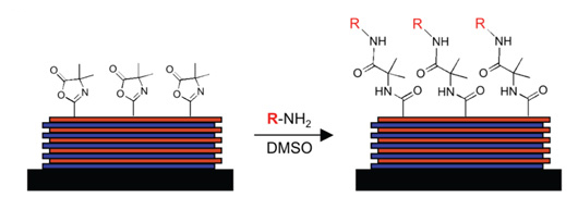 Schematic illustration of the chemical functionalization of a reactive, covalently cross-linked ultrathin film.