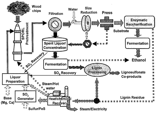 A simple schematic of lignocellulosic biomass ethanol fermentation using the SPORL pretreatment process.