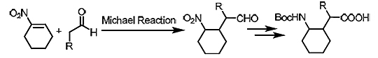 A novel method for producing cyclically-constrained γ-amino acids that are chiral and highly stereoselective.