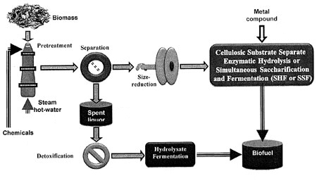 The biofuel production process.