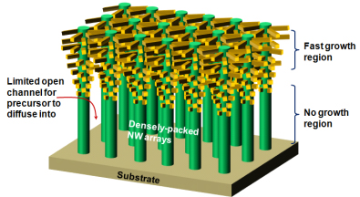 The nanowire arrays possible with current technology.