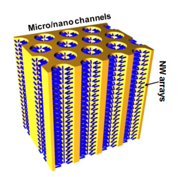 The improved, dense and uniform nanowire arrays possible with the new method.