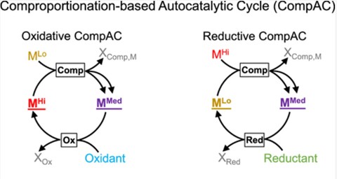 Comproportionation-based Autocatalytic Cycle (CompAC)